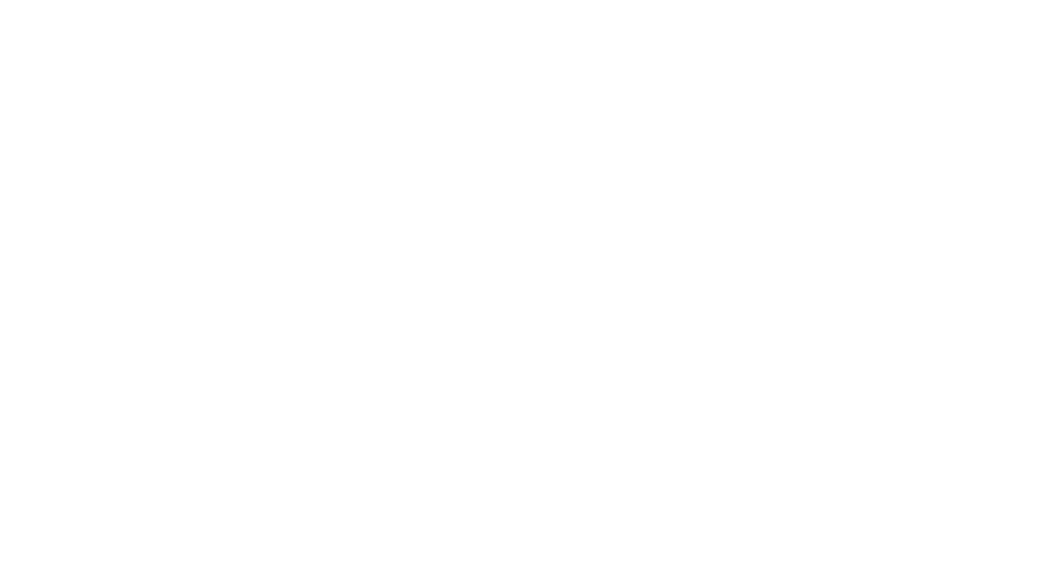 DGI logo hvidt